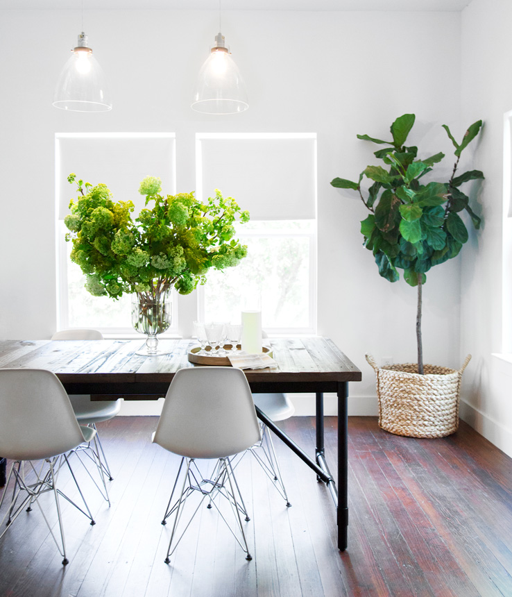 The 8 Best Air-Purifying Houseplants For a Healthy Home, According to NASA