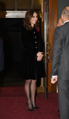 Kate Middleton Velvet Dress