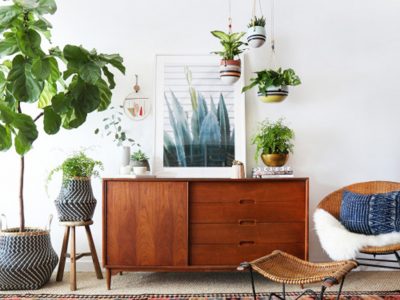 The Most Beautiful Office Plants that Boost Productivity⏤and How to Care for Them