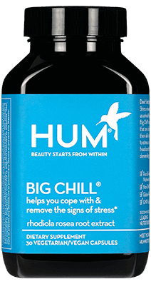 HUM-BIG-CHILL