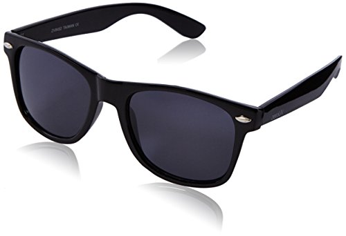 Polarized Wayfarer Sunglasses