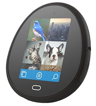 64 GB Egg 